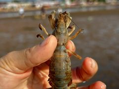 -东戴河风景区-止锚湾