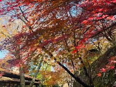 -三千院