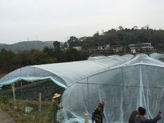 -普迪生态园