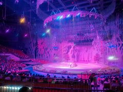 -灵玲国际马戏城