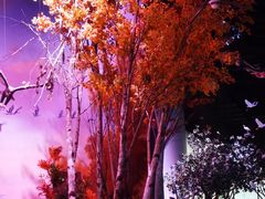 -中国湿地博物馆