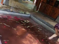 -天目湖御水温泉·度假酒店