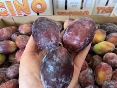-西郊国际农产品交易中心