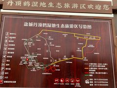 -盐城丹顶鹤湿地生态旅游区