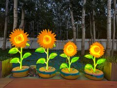 -枫花园汽车电影院(朝阳公园店)