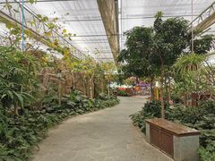 -南宫五洲植物乐园