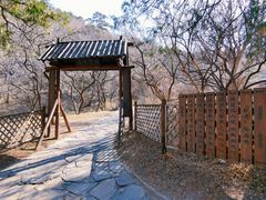 -香山公园