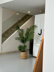 -JNK皮肤管理中心