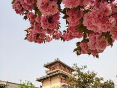 -洛阳古墓博物馆