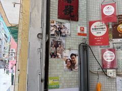-洪馨椰子