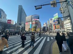-涩谷区