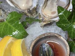 -普朗姆生蚝牛排馆 The Plump Oyster(成都摩方购物中心店)