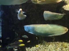 -嘉兴海底世界