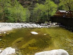 -青峰峡国家森林公园