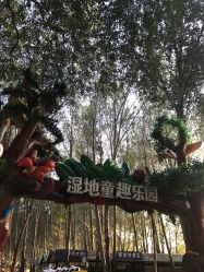-汉石桥湿地童趣乐园