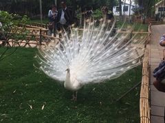 -昆明动物园