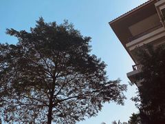 -碧桂园润杨溪谷温泉酒店