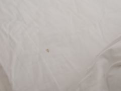 -三亚海棠湾喜来登度假酒店