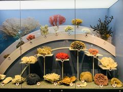 -中国湿地博物馆