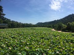 -韶山毛泽东同志故居