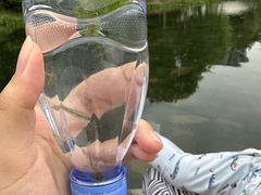 -南翔镇银翔湖公园