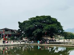 -南靖田螺坑土楼群景区