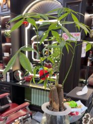 -豪帅男士理容馆