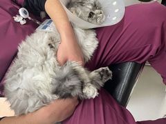-宠颐生中康贝怡动物医院