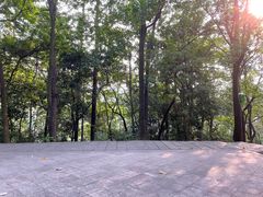 -火炉山森林公园