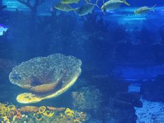 -上海海昌海洋公园