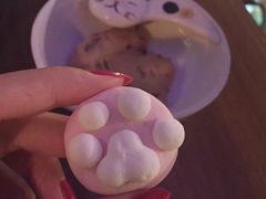 -猫咪博物馆(顶澳仔猫街店)