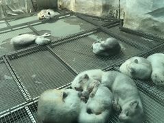 -泉城欧乐堡海洋极地世界