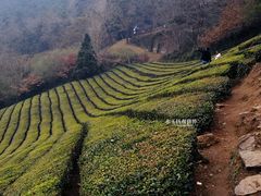 -敬亭山风景名胜区