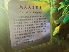 -甘肃地质博物馆