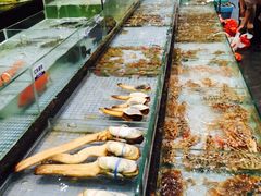新海利(夏湾店)-新海利海鲜城·41年珠海老字号(夏湾店)