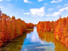 -上海海湾国家森林公园