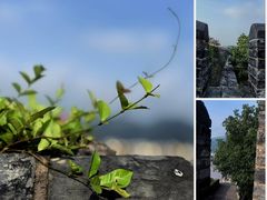 -台州府城(江南长城)