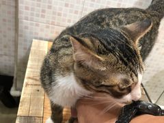 -玉椰林甜品店(创始店)