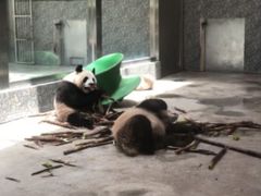 -西安秦岭野生动物园