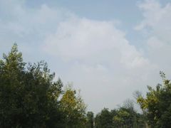 -白鹭湾湿地公园