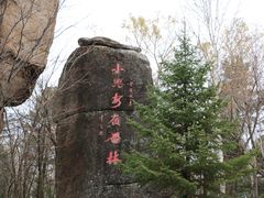 -汤旺河林海奇石景区