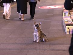 -万达广场(菏泽牡丹店)