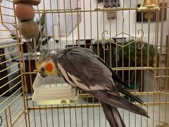 -潇湘·永州会馆(百子湾店)