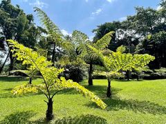 -中国科学院西双版纳热带植物园