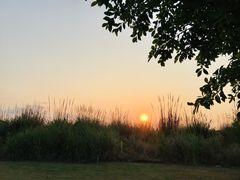 -芒洲湿地公园