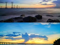 -宝安西湾红树林湿地公园