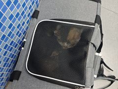 -芭比堂动物医院·心脏专科·夜诊·吉雅分院