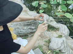 -莲湖公园