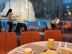 -帝企鹅自助餐厅•儿童岛•真企鹅(长隆企鹅酒店)