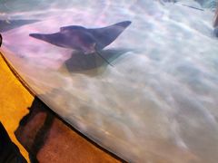 -沈阳海洋探索中心